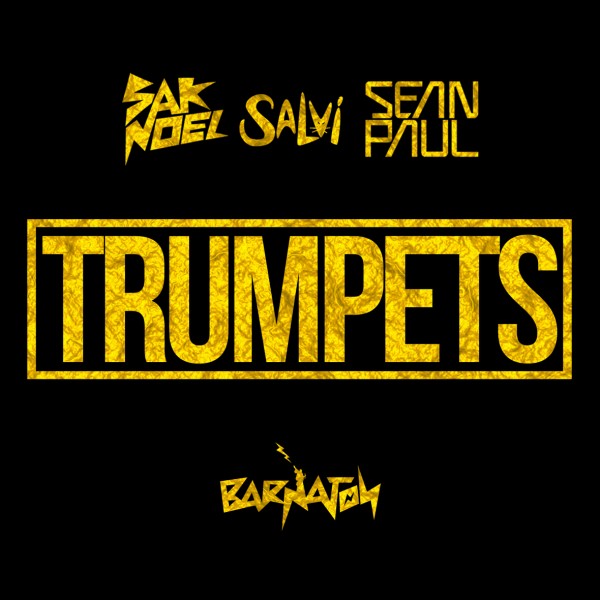 sak_noel___salvi_ft-_sean_paul_-_trumpets__cover_